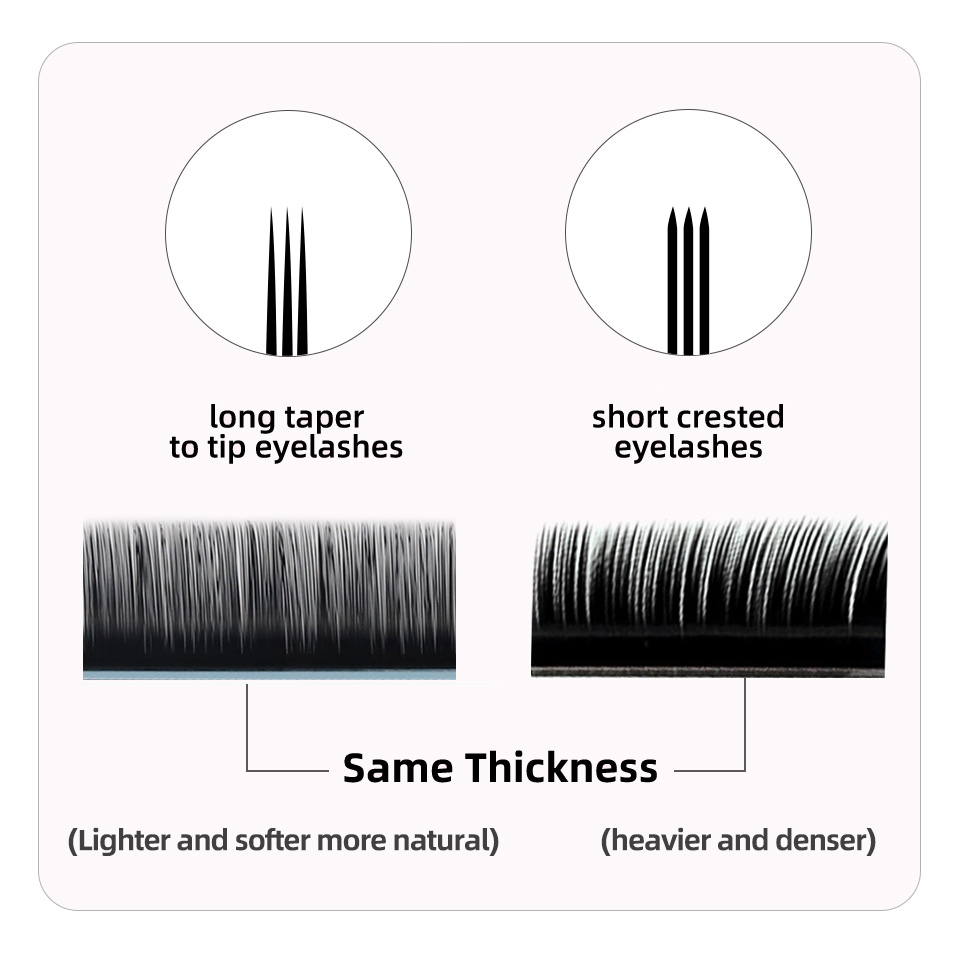 AGUUD J B C D Curl Volume Lash – Eyelash Extension Korea Natural recenzja i cena